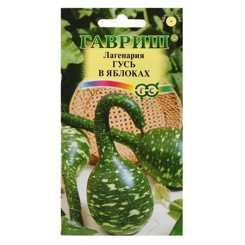 ������ ������ ������ ������ ��������� ���� � �������, �, 5 �� ����