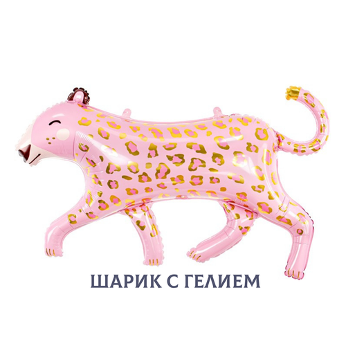 ������ ������ ��������� ��� � ������ ��� ������� 