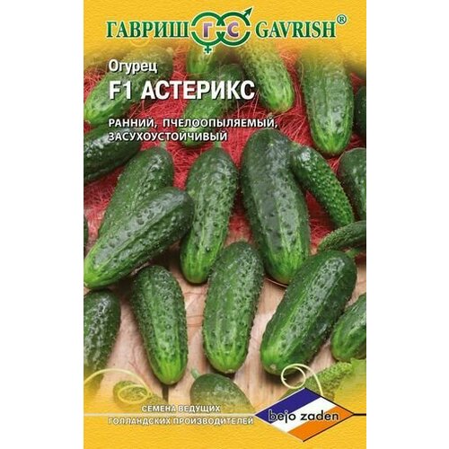 ������ ������ ������ ������ �������� F1 8�� ������ (������) ��������� ����