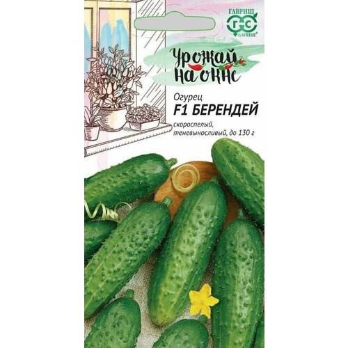 ������ ������ ������ ������ �������� F1, 10��, ������, ������ �� ���� ����