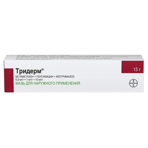 ������ ������ ������� ����, 15 � ����