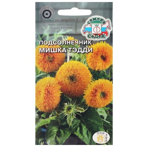 ������ ������ ������ ������ ������������ 