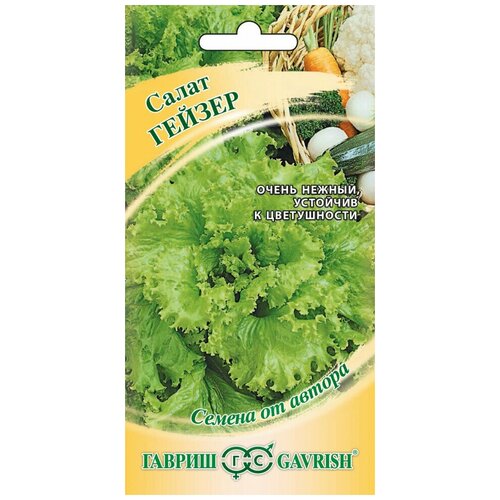 ������ ������ ������ ����� �������� ������, 0,5�, ������, ������ �� ������, 10 �������� ����