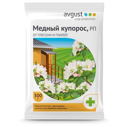         Avgust, 300    -     , -,   