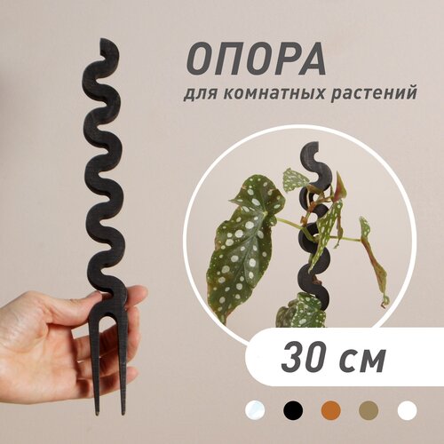 ������ ������ ����� ��� �������� 