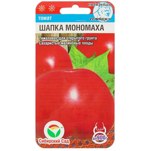 ������ ������ ������ ��������� ��� ����� ����� �������� 20 ��. ����