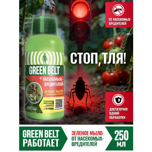 ������ ������ ����������� ��� ������ �������� Green Belt 