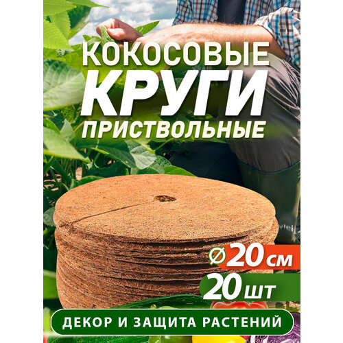������ ������ ������������ ���� �� ���������� ������� ������� 20 ��, 20 ���� ����