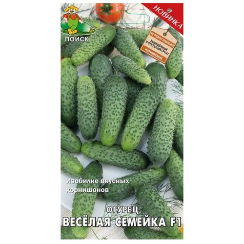 ������ ������ ������ ����� ������ ������� ������� F1 12 ��. ����