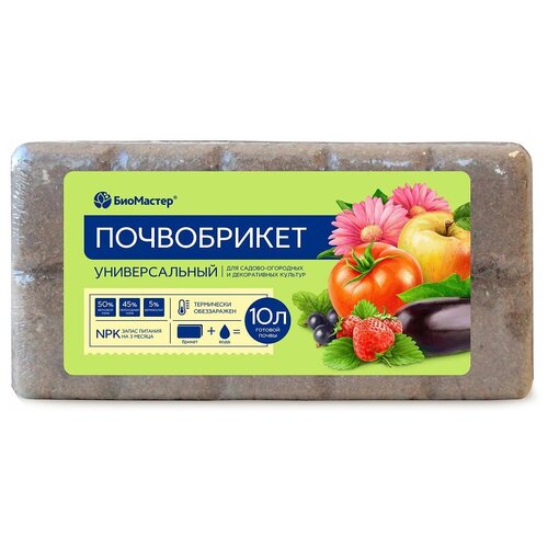 ������ ������ ����������� ��������� ������������� ����������, 10 �, 0.6 �� ����