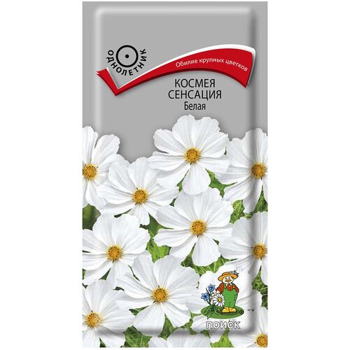 ������ ������ ������ ����� ������ �������� ����� 0.3 � ����