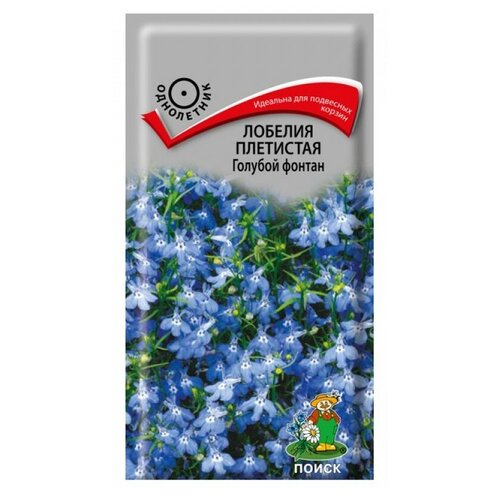 ������ ������ ������ ����� ������� ��������� ������� ������, 0.1 � ����