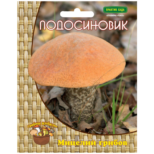 ������ ������ ������� ������ ����� ����������� 60 �� ����