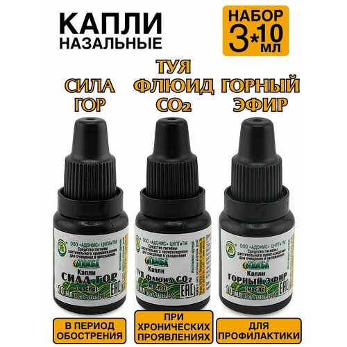 ������ ������ ����� � ��� �� ������������ ����������� 