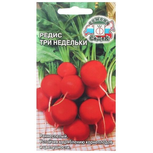 ������ ������ ������ ����� 