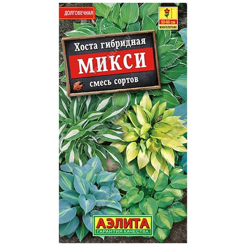 ������ ������ ������ ��������� ������ ����� �����, ����� ������� 7 ��. ����