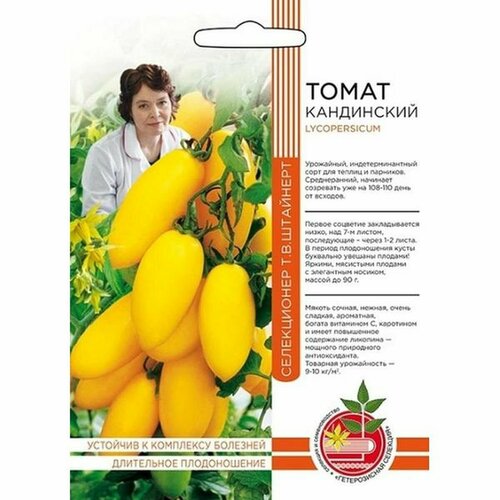 ������ ������ ������ ����� ����������, ������������, ������������, 20�� �������� ����