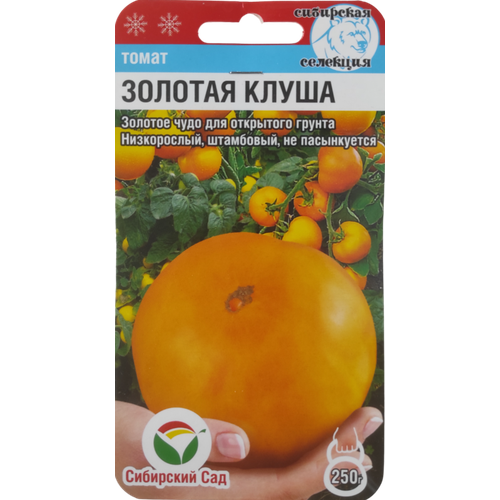 ������ ������ ������ ����� ������� �����, ��������� ���, 20 ��. ����