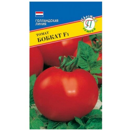 ������ ������ ����� 