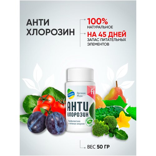 ������ ������ ��������� ������� ���� ������������ 50 �� ����