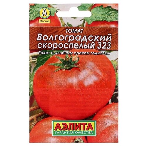 ������ ������ ������ ����� 