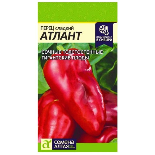 ������ ������ ������ ����� ������� ������ (0,1 �) ����