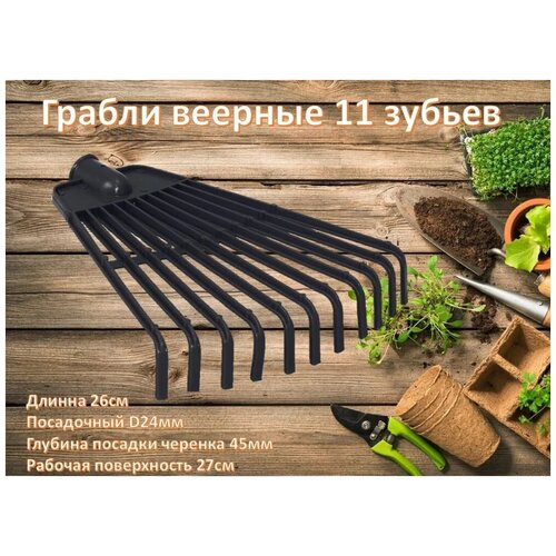 ������ ������ ������ ������� (11 ������) ����