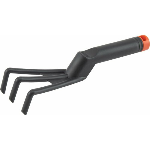 ������ ������ ��������� ������� ����