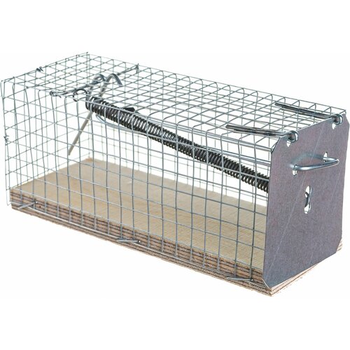 ������ ������ ���������-������, ������ 12,4 � 5 � 5,5 ��, �� ������������ ����� � ���������� ����������. ��� ������ �������� � ��������, ������������� ���������� ����