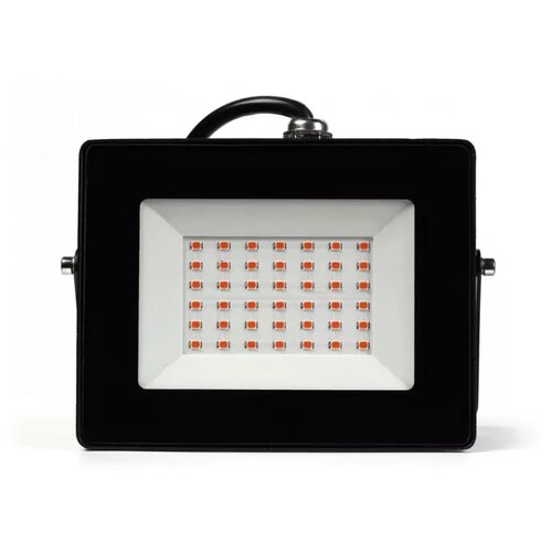 ������ ������ SmartBuy ���������� ��� �������� SBL-FLFITO-30-65K, ������ ����