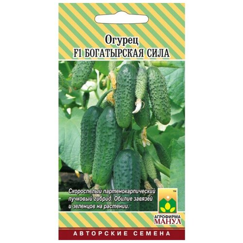 ������ ������ ������ F1 ����������� ���� 10 �� ����� ����