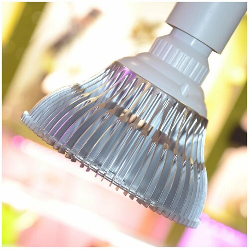 ������ ������ ��������� ������������ �27 12 watt ������� ������� 5000k + 660nm ����