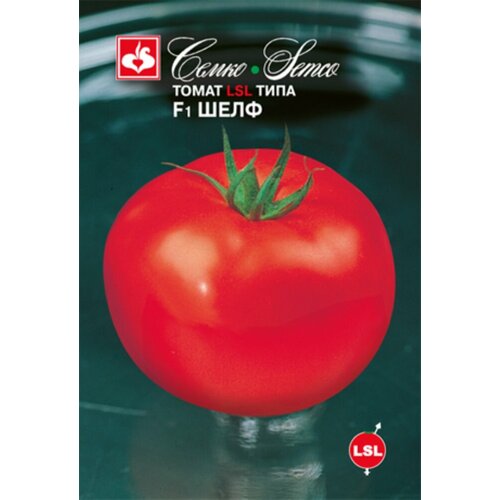 ������ ������ ������ ����� ���� F1 12�� ��� (�����) ����