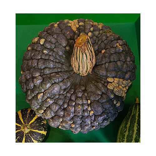 ������ ������ ������ ����� ������� ������� (�� 10 ��) 2 ��. ����