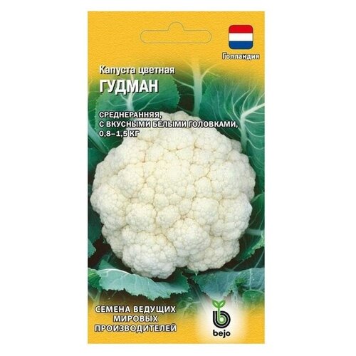 ������ ������ ������ ������ Bejo ������� ������� ������ F1 10 ��. ����