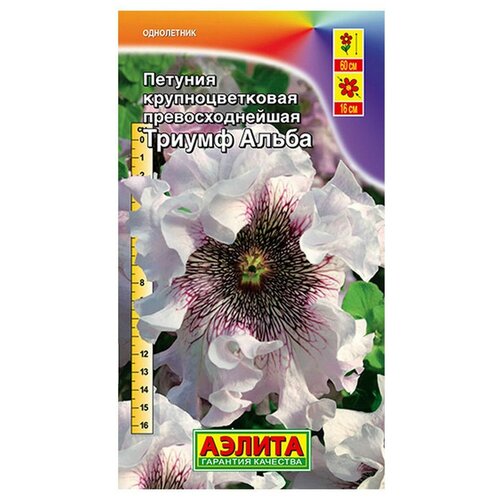 ������ ������ ������ ��������� ������ ������� ������ ����� ��������������� 10 ��. (����� � ��������) ����