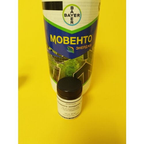 ������ ������ ���������� ������� ������� 50 �� ����