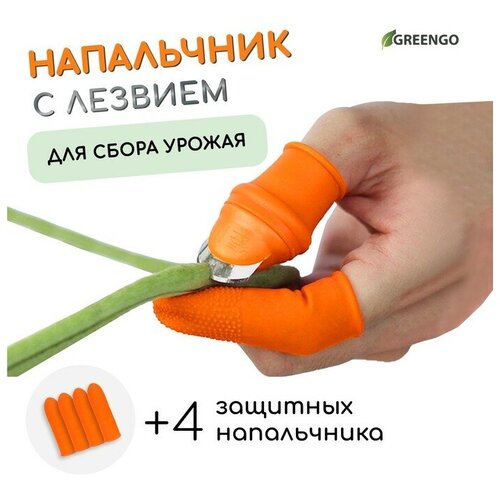 ������ ������ ���������� � ������� + 4 �������� �����������, ��� ����� ������ ����