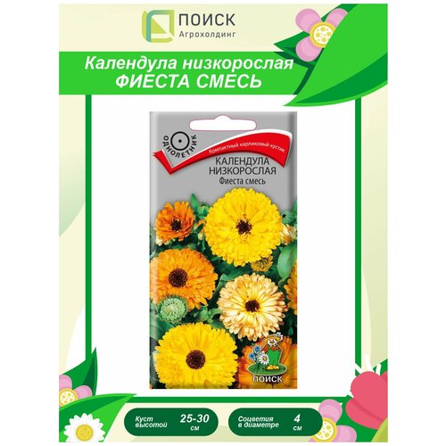 ������ ������ ������ ��������� ����������� ������ ����� ���������� 1 ��. ����