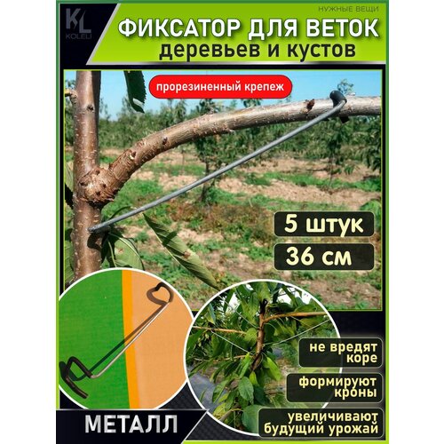 ������ ������ KoLeli / �������� ��� �����, �������� ��� ��������, ������������� ���������, 5 ��/36 �� ����