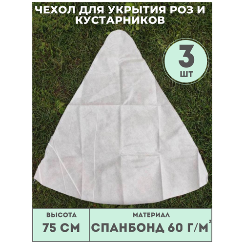 ������ ������ ������ ����� (������ 75��) ��� ��� � ����������� (3 ��./����.) �� ��������� 60 �/�2, ��� ������� ����