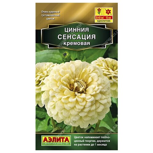 ������ ������ ������ 