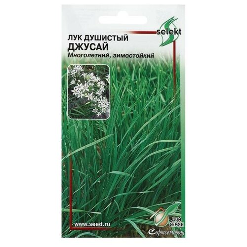 ������ ������ ������ ��� �������� 