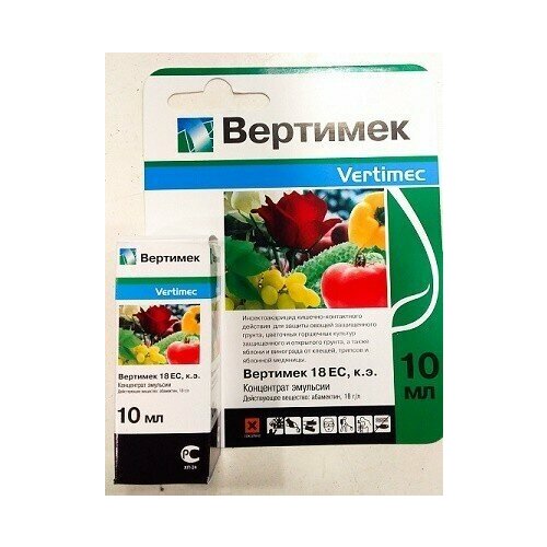 ������ ������ �������� 10�� ����