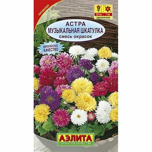 ������ ������ ������ ����� ����������� ��������, �����, ����������, (������) 0,2� ����