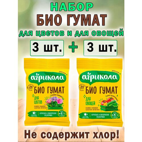 ������ ������ �������� ����� ��� ����� ��� ������ � ������ ����