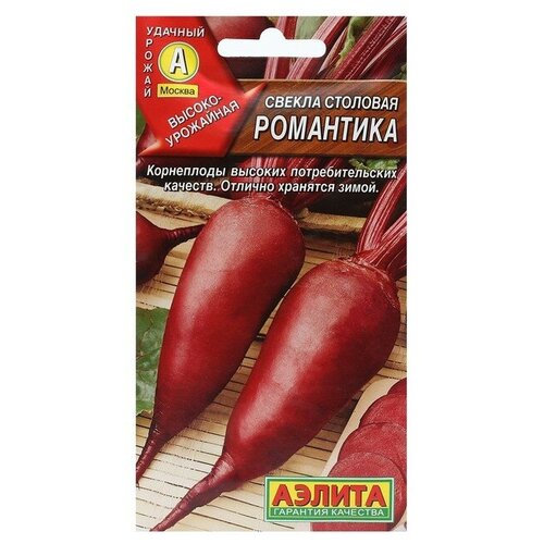 ������ ������ ������. ������ �������� 