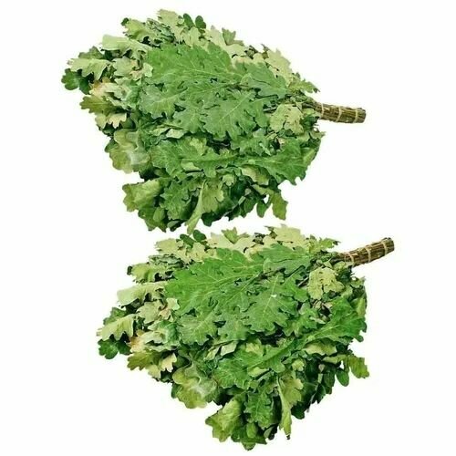 ������ ������ ����� ��� ���� ������� 3 �� ����