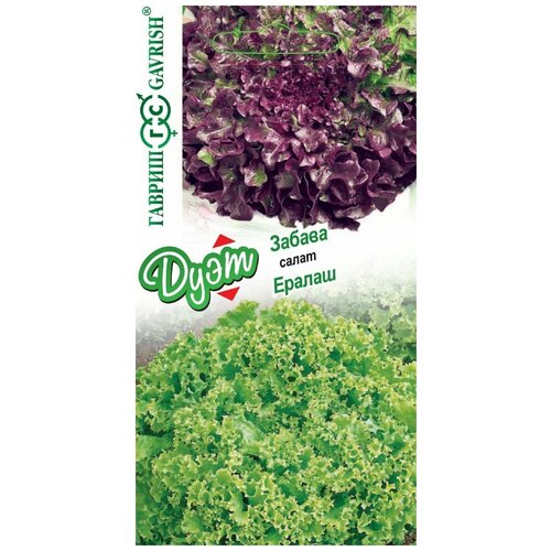 ������ ������ ������. ����� 