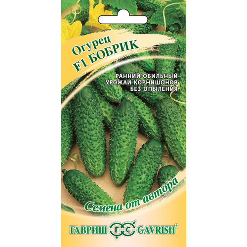 ������ ������ ������ ������ ������ F1 �������� 10�� ������������������ ������ (������) ����